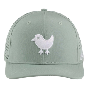 Men's Bad Birdie Men's Golf Golf Snapback Hat One Size Washed Sage