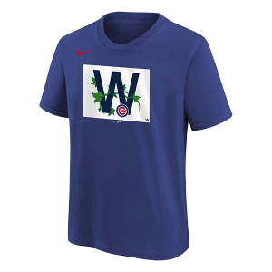 Kids' Chicago Cubs Local T-Shirt Large Royal