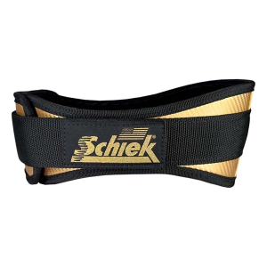 Schiek Carbon Fiber Lifting Belt