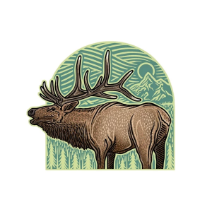 Casey Underwood Artwork Elk Arch Decal Decal