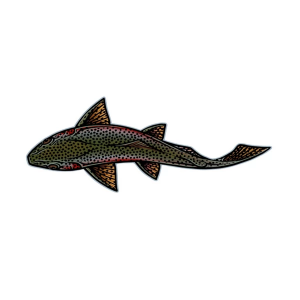 Casey Underwood Artwork Swimming Rainbow Trout Decal Decal