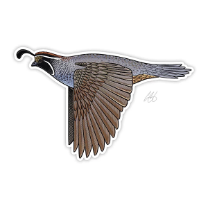 Casey Underwood Artwork California Quail Decal