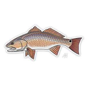 Casey Underwood Artwork Redfish Decal