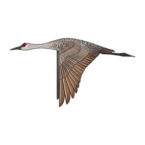 Casey Underwood Artwork Sandhill Crane Decal Decal