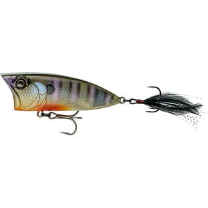 6th Sense SplashBack Popper Topwater Lure