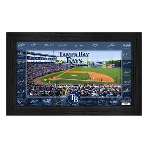 Highland Mint Tampa Bay Rays 2025 Signature Field Frame