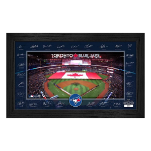 Highland Mint Toronto Blue Jays 2025 Signature Field Frame