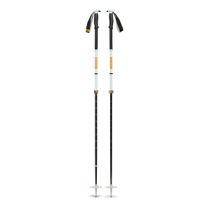 Adult Black Diamond Traverse Pro Adult Ski Poles 140 Foam Green
