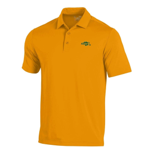 North Dakota State Bison Under Armour McCaffrey Polo Small Gold