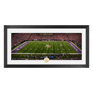 Highland Mint Minnesota Vikings Deluxe Stadium Coin Photo Mint