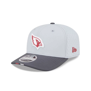 Arizona Cardinals New Era 2025 Training Camp 9Seventy Adjustable Hat One Size Grey