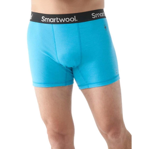 Men's Smartwool Active Merino Boxer Briefs Underwear Small Pool Blue