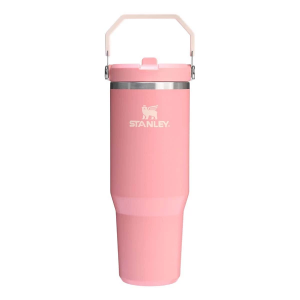 Stanley IceFlow 30 oz Flip Straw Tumbler