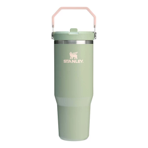 Stanley IceFlow 30 oz Flip Straw Tumbler