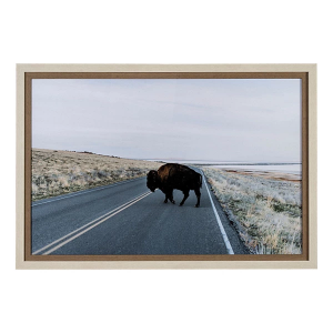 Mercana Bison Crossing Print