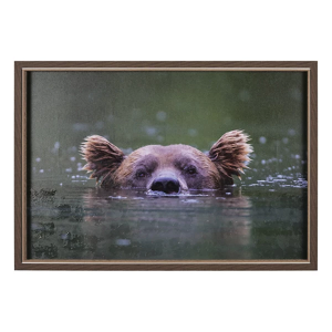 Mercana Peeking Out Bear in Water Print