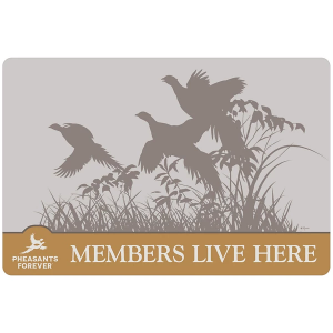 Wild Wings October Memories (Silhouette) - Floor Mat by David A. Maass