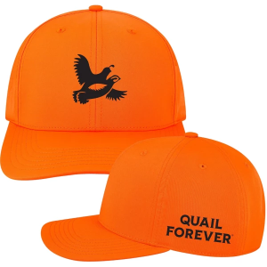 Adult Legacy Quail Forever Icon Hat