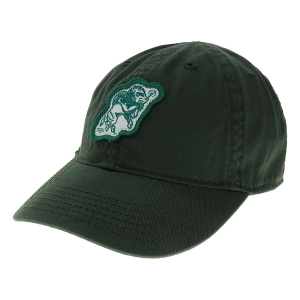 North Dakota State Bison Legacy Athletic Ezt Toddler Flexfit Hat One Size Dark Green