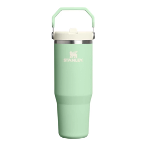 Stanley IceFlow 30 oz Flip Straw Tumbler