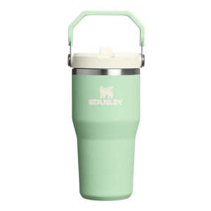 Stanley IceFlow 20 oz Flip Straw Tumbler