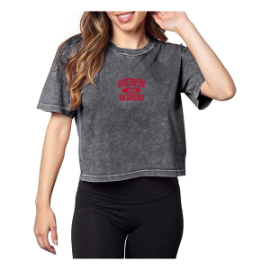 Wisconsin Badgers Chicka-D Women's Coed Short and Sweet T-Shirt Medium Graphite