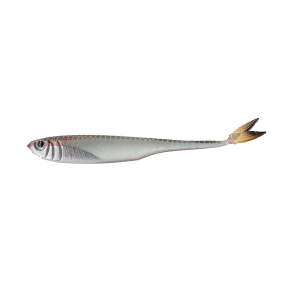 6th Sense Strobe Minnow