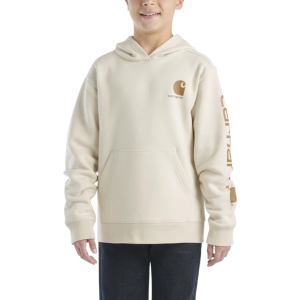 Kids' Carhartt Sleeve Graphic Hoodie Large Turtledove