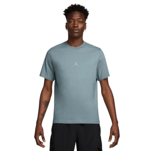 Men's Jordan Sport Dri-FIT Graphic Shirt XLarge Aviator Grey/Light Silver