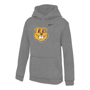 Minnesota Golden Gophers Nike Kids Hoodie Large Heather Grey