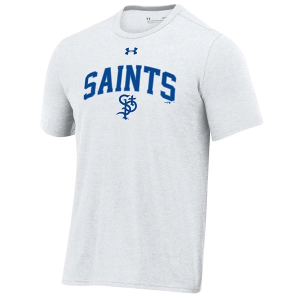 Under Armour St. Paul Saints All Day Arch T-Shirt