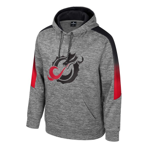 Minnesota State Dragons Colosseum Hoodie Small Nickel