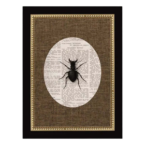 Petal Lane Stag Beetle Print
