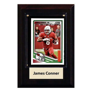 C and I Collectables Inc Arizona Cardinals James Conner Trading Card Plaque