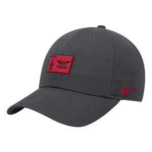 Air Force Falcons Nike F16 Club Flexfit Hat M/L Anthricite