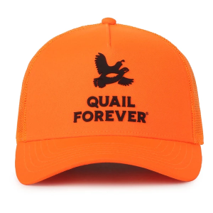 Adult Outdoor Cap Company Quail Forever Blaze Snapback Hat