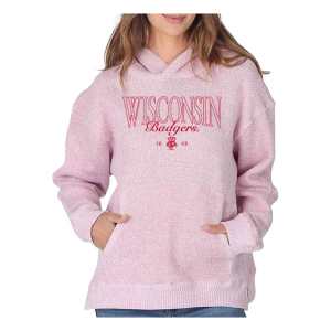 Wisconsin Badgers Chicka-D Women's Hoodie Small Coal
