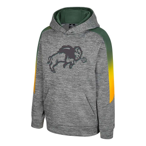 North Dakota State Bison Colosseum Kids Hoodie Medium Grey Heather