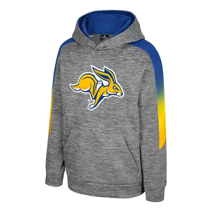 South Dakota State Jackrabbits Colosseum Kids Hoodie Small Grey Heather