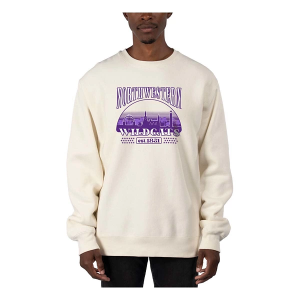 Northwestern Wildcats USCAPE Crew Large Bone