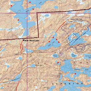 Mckenzie Maps Fall Lake and Pipestone Bay #17 Map