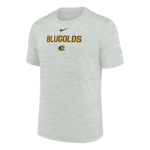 UW-Eau Claire Blugolds Nike Sideline Velocity T-Shirt Medium Photon