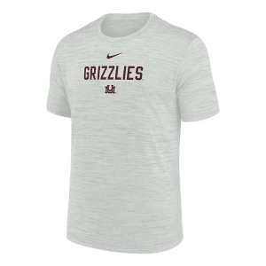 Montana Grizzlies Nike Sideline Velocity T-Shirt XLarge Photon