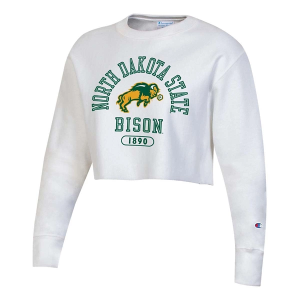 North Dakota State Bison Under Armour Women's Reverse Weave 25 T-Shirt Medium White