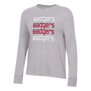 Wisconsin Badgers Champion Women's Eevee T-Shirt Large Grey
