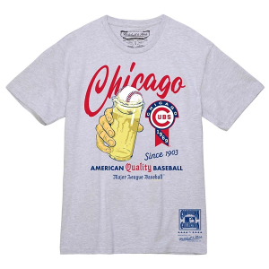 Chicago Cubs Brew T-Shirt Small Grey Heather