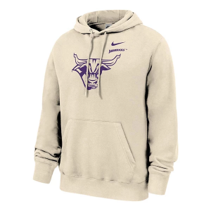 Minnesota State Mavericks Nike Hoodie Small Natural