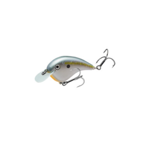 Strike King Strike King Chick Magnet Jr Crankbait Sexy Shad 2.0 1/4oz - $6.99 at Fin Feather Fur Outfitters