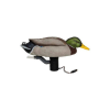 Avery Finisher Swimmer Mallard Drake