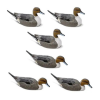 Rig'Em Right Pintail Decoys Six Pack